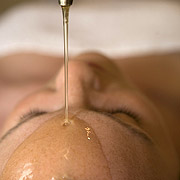 Ayurveda Half Day program
