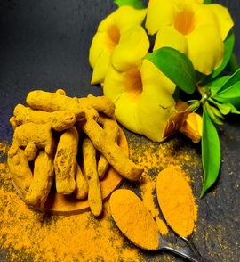 The Wonders of Turmeric